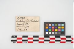 Etikett zu Bronzemehrkopfnadel (NHMW-PRAE-025590)